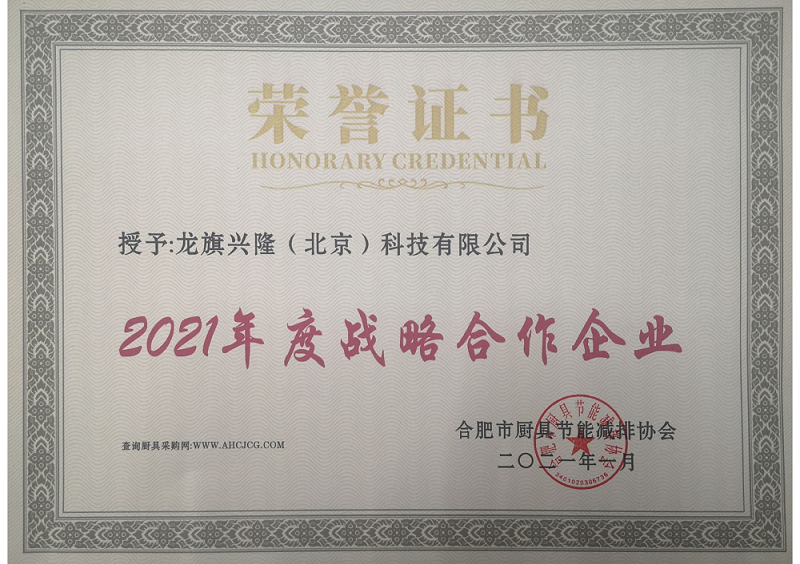 1-2021年度战略合作企业-龙旗(图1)